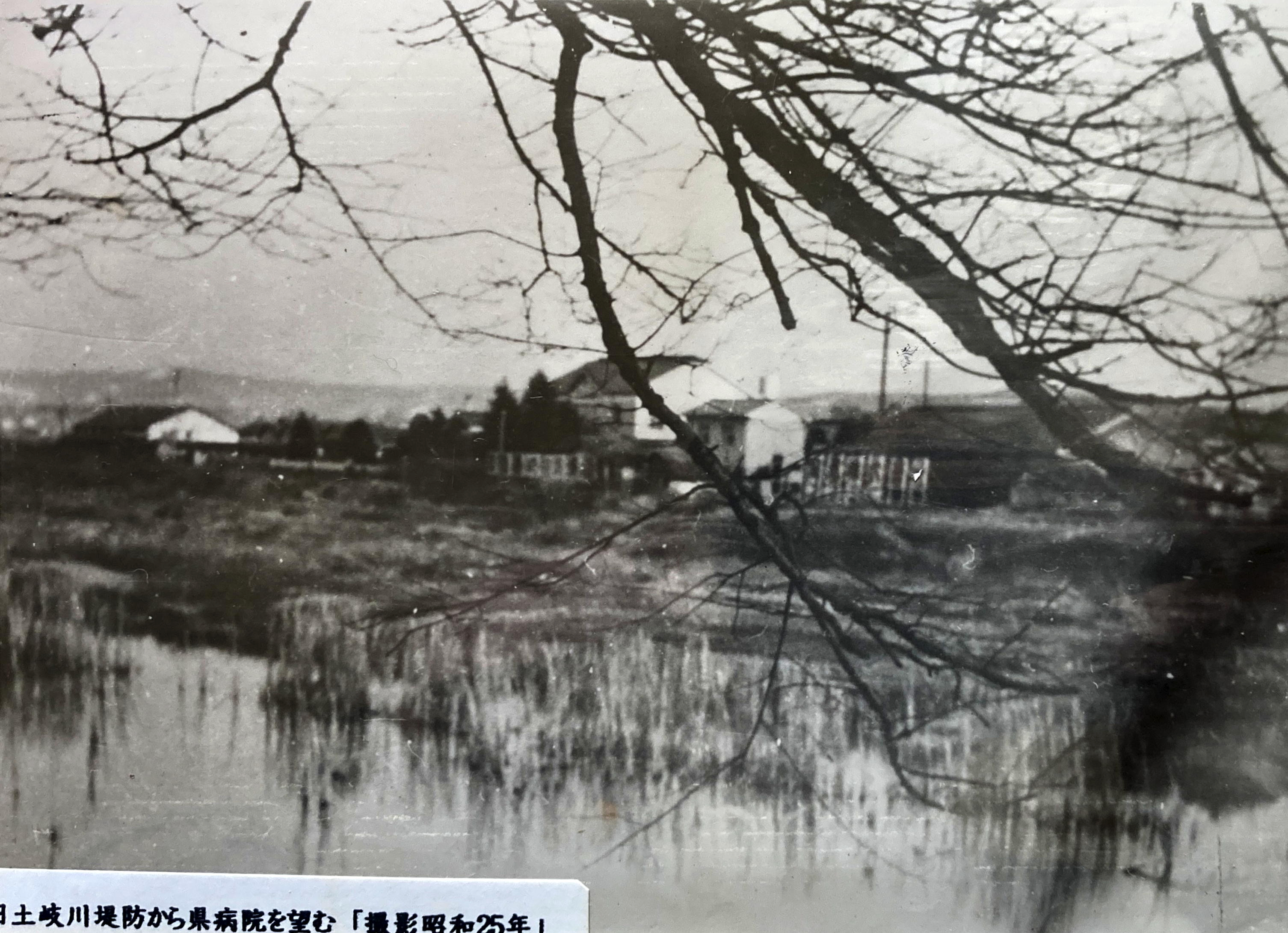 IMG_3776 (3).pngのエイリアス