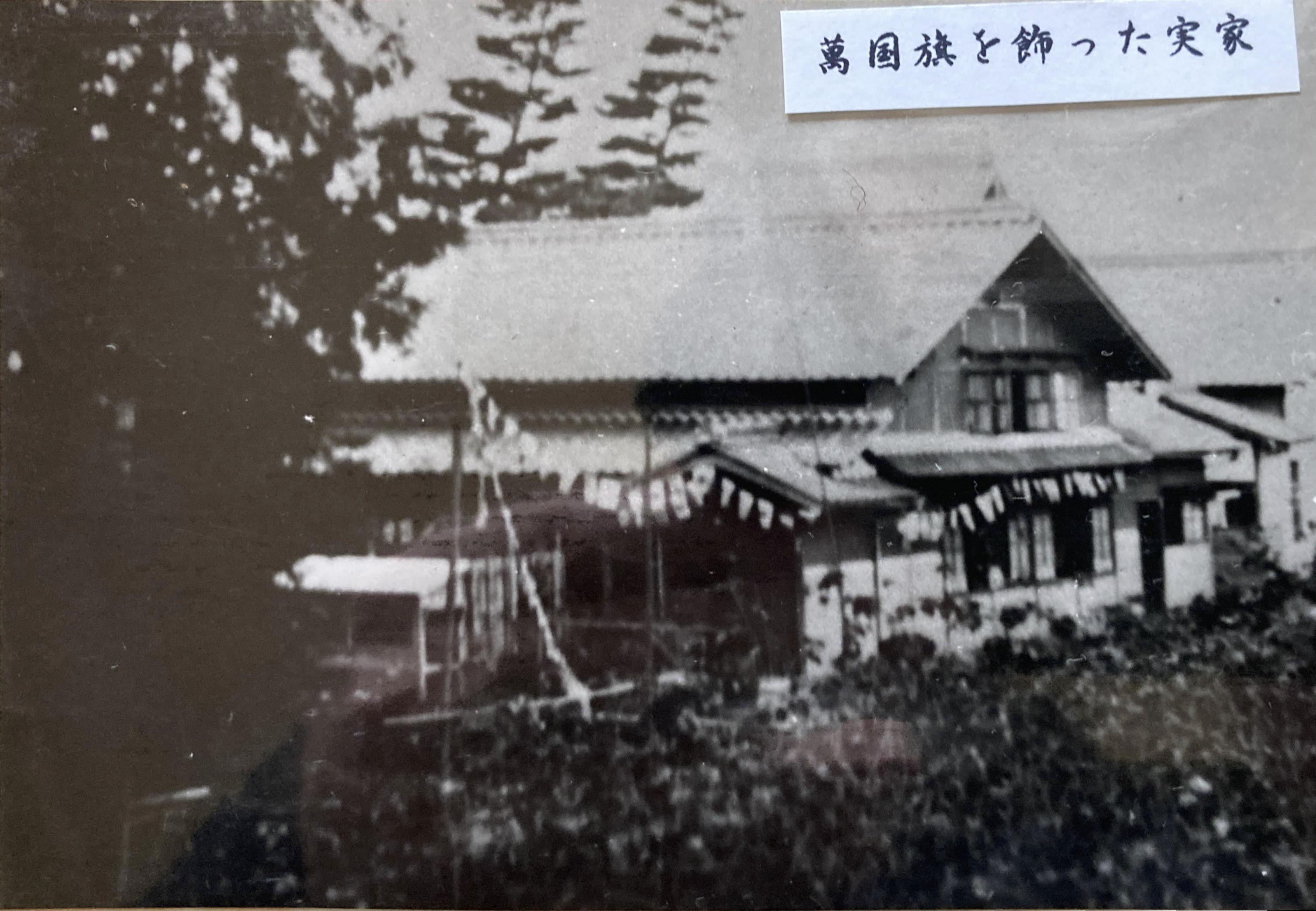 IMG_3776 (3).pngのエイリアス